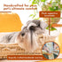 Large Dog Bed | Cute Cat Bed Personalized By Name